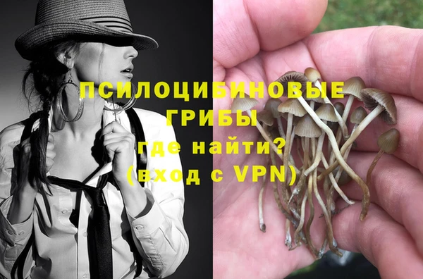 таблы Новодвинск