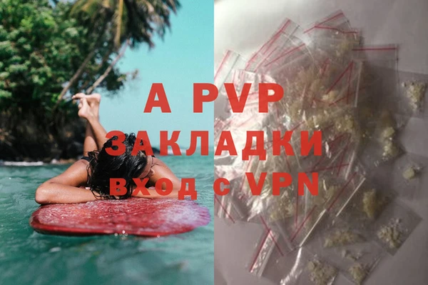 таблы Новодвинск