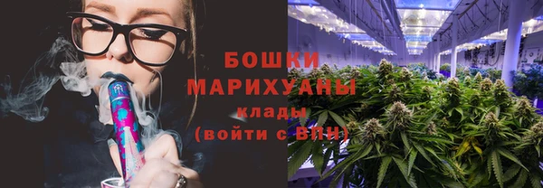 шишки Абаза