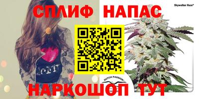 jwh Абинск