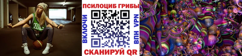 Галлюциногенные грибы Psilocybine cubensis  Россошь 